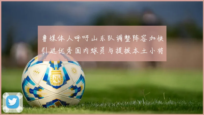 鲁媒体人呼吁山东队调整阵容加快引进优秀国内球员与提拔本土小将