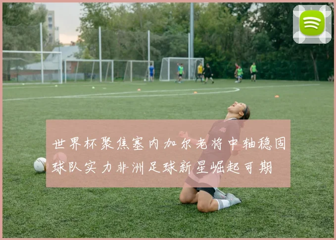 世界杯聚焦塞内加尔老将中轴稳固球队实力非洲足球新星崛起可期