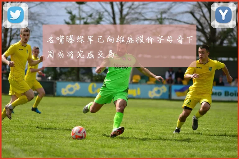 名嘴曝绿军已向雄鹿报价字母哥下周或将完成交易